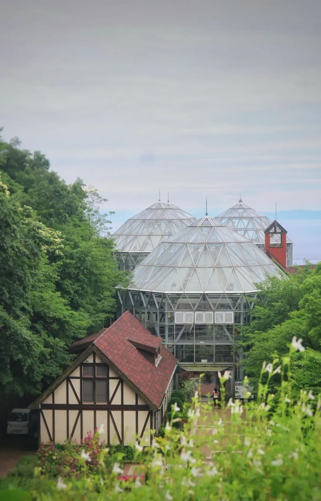 Mediterráneo Greenhouse 13
