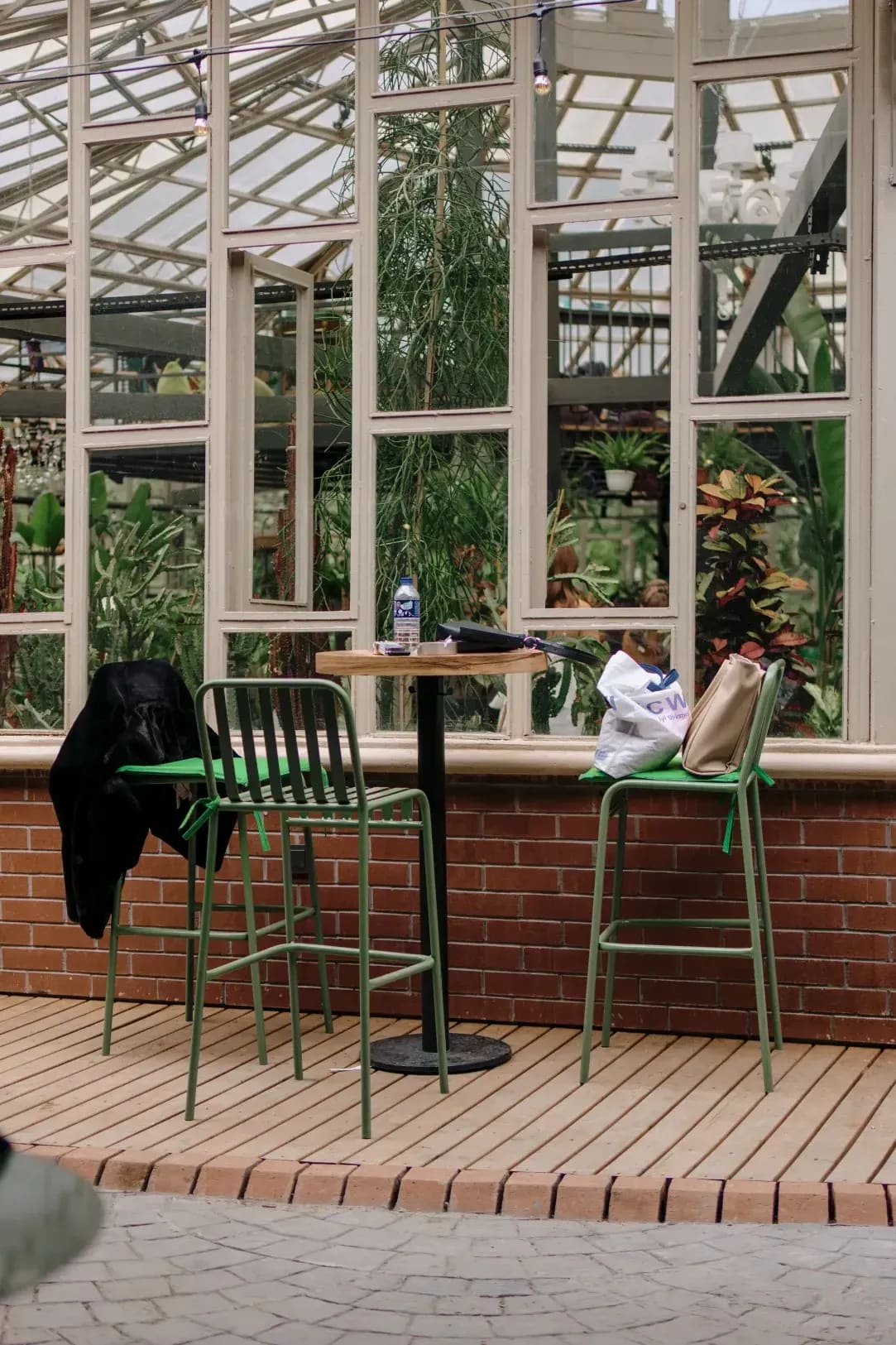 Mediterráneo Greenhouse 14