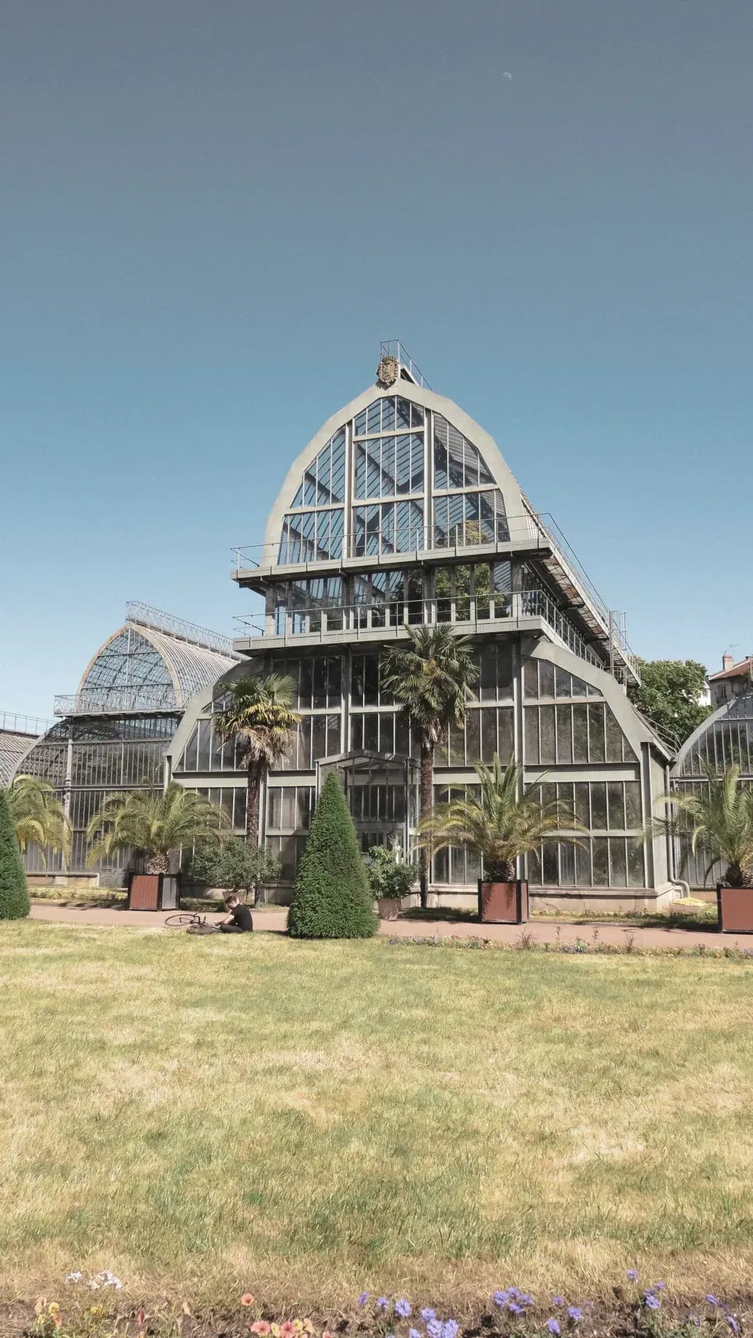 Mediterráneo Greenhouse 7