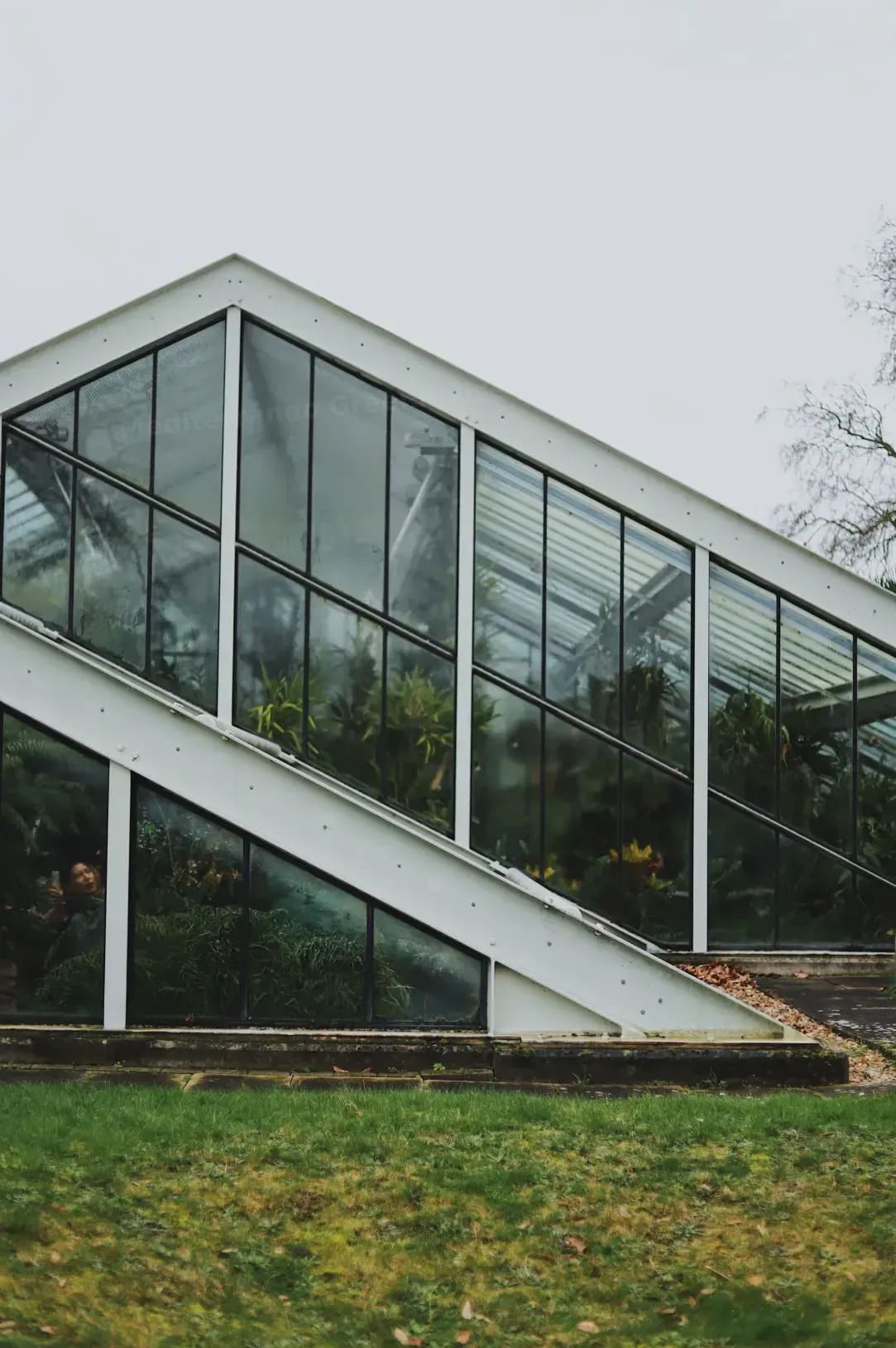 Mediterráneo Greenhouse 8