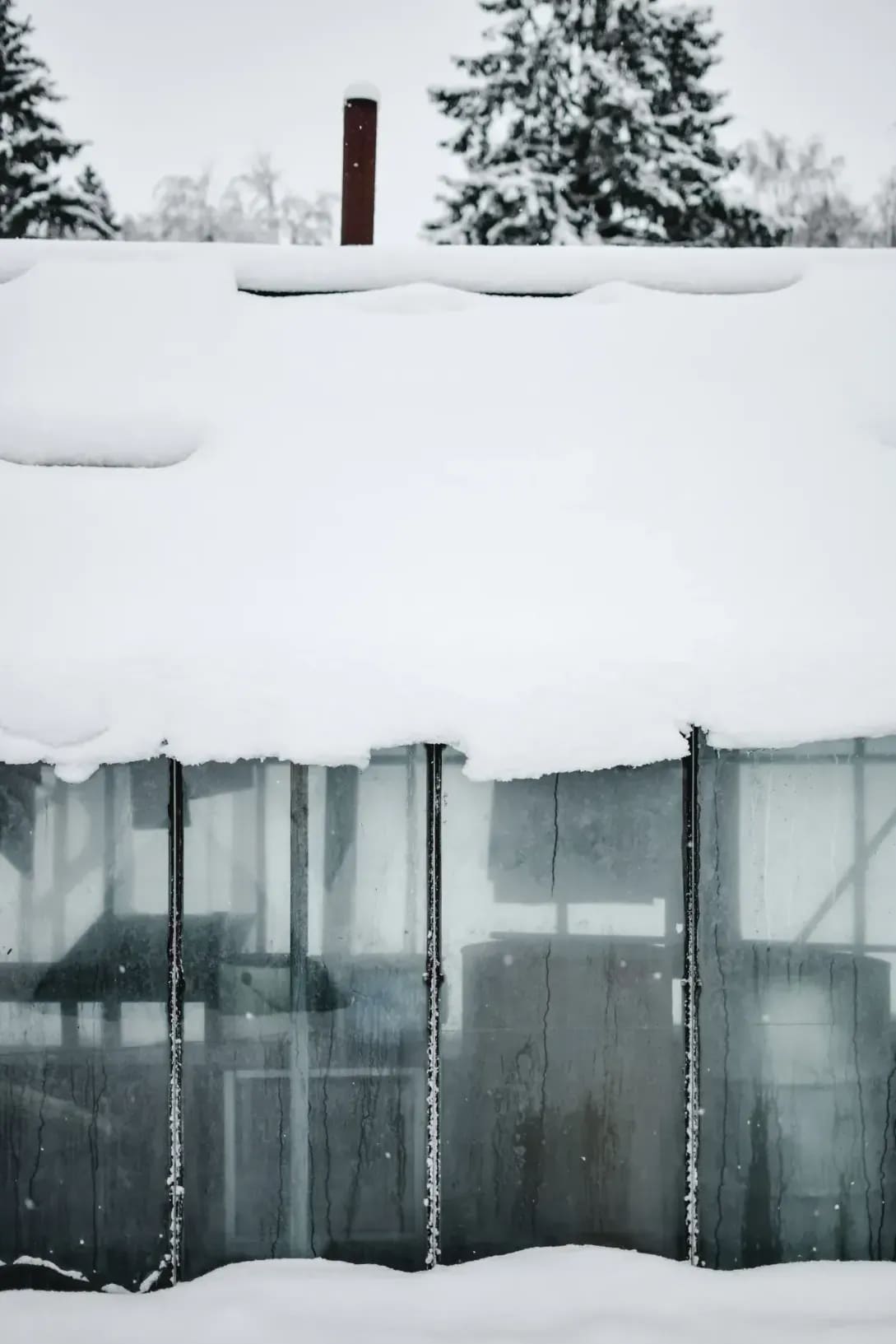 Mediterráneo Greenhouse 9